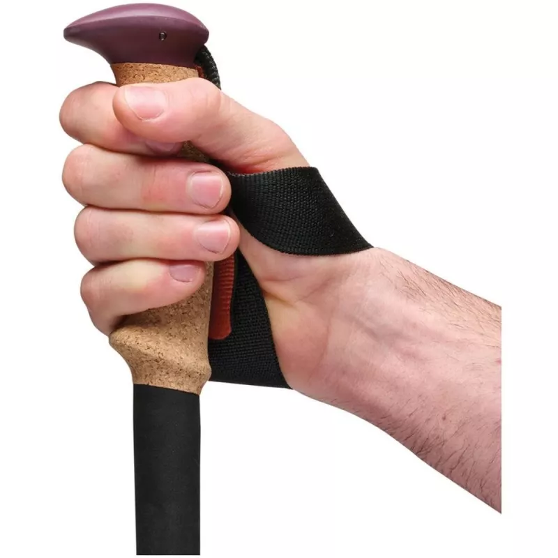 Black Diamond Trail Cork Trekking Poles Fig