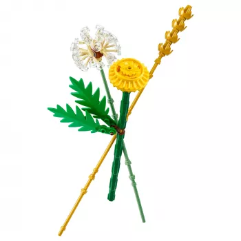 LEGO 30701 Botanicals Feldblumen, Konstrukcijas rotaļlieta