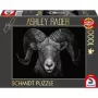 Ashley Rader: Dominance - Widder, Im Zeichen des Feuers, Puzle 1000 gabali