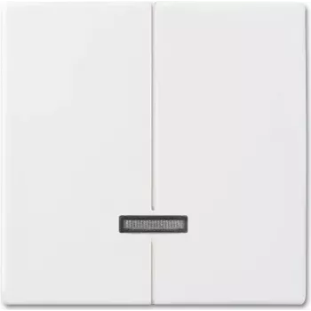 Busch-jaeger 6545-914