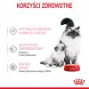 Royal Canin BABYCAT INSTINCTIVE - Slapjā kaķu barība - 195 g