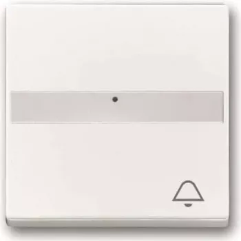 Busch-jaeger 2CKA001731A4001