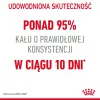 ROYAL CANIN Digestive Care Adult - sausā barība kaķiem - 400g
