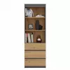 Biroja grāmatplaukts top e shop RS-60 ANT/ART KPL — 3 plaukti, skaidu plātne, 600×350×1800 mm