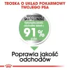 ROYAL CANIN CCN Medium Digestive Care - sausā suņu barība - 3 kg