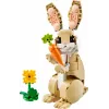 LEGO CREATOR 3 IN 1 31162 Jauks trusis