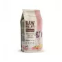 Sausā suņu barība kucēniem VETEXPERT Raw Paleo Healthy Grain Salmon and Barley 10 kg, proteīns 29%, tauki 17%, mitrums 9%