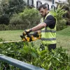 Bezvadu dzīvžoga trimmeris DeWALT DCM563P1-QW