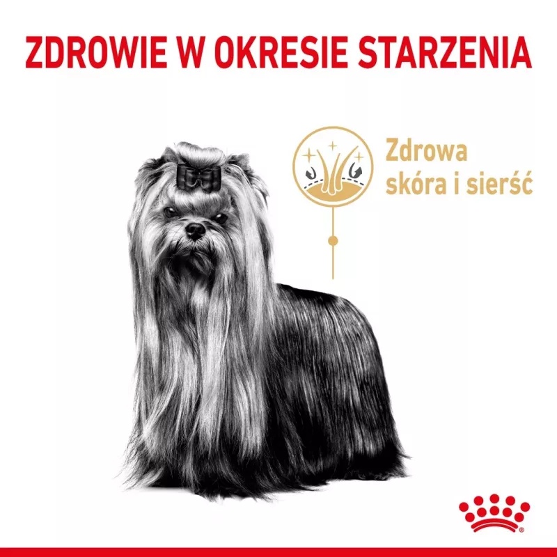Sausā suņu barība Royal Canin Yorkshire Terrier 8+ 3 kg — mājputnu gaļa, senioru Jorkšīras terjeriem, olbaltumvielas 29%, tauki 18%