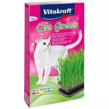 Zāles komplekts kaķiem Vitakraft 120 g – ēdamā zāle kaķiem, bez lipekļa, bez konservantiem