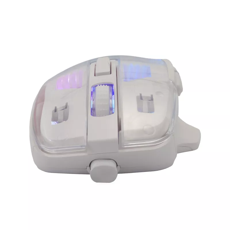 Baracuda BGM-062 Anglerfish White – Peles galda modelis