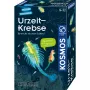 Kosmos 65787 AR komplekts, 8+ gadi, daudzkrāsains