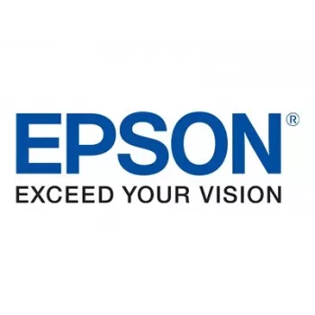 Epson T04Q100 oriģināla melnā tintes kasetne, augstas (XL) ražības