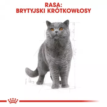 Royal Canin British Shorthair sausā barība kaķiem 2 kg