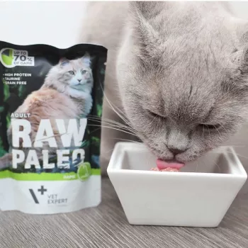 Slapjā barība kaķiem VETEXPERT RAW PALEO Adult Brieža gaļa 100 g — graudus nesaturošs vienas porcijas maisiņš
