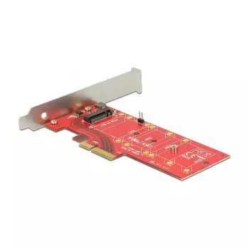 DeLOCK 89577 PCI Express M.2 interfeisa karte