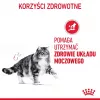 Royal Canin Urinary Care sausā barība kaķiem Adult Poultry 2 kg