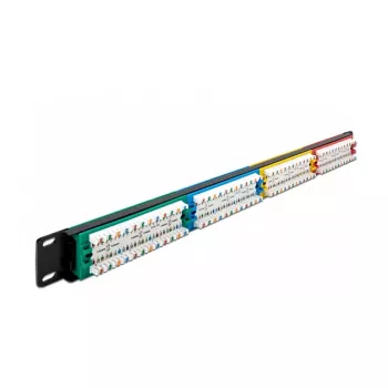 DeLOCK 19 collu sadales panelis 24 porti Cat.5e 1U krāsains RJ-45