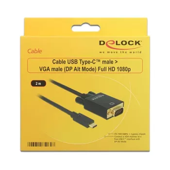DeLOCK 85262 USB-C uz VGA video adaptera kabelis 2 m