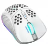 Datorpele Deltaco GAM-120-W RF Bezvadu USB Type-C