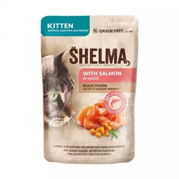 SHELMA Kaķēns ar lasi mērcē - mitrā kaķu barība - 85g
