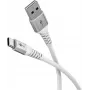 Wentronic 74529 USB kabelis balts
