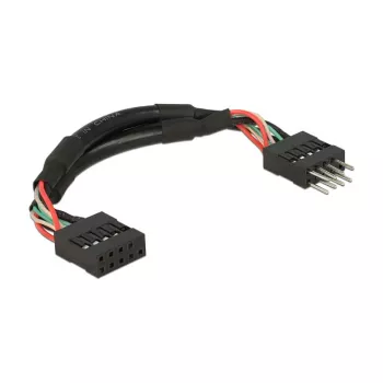 DeLOCK 0.1m 2xUSB2.0 10p iekšējais pagarinātājkabelis