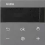 Gira RTR Displays Antracīts 539328