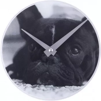 NeXtime klok 5173 Little Dog, Ø20 cm, sienas pulkstenis, melns