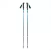 BLACK DIAMOND DISTANCE CARBON TREKKING NŪJAS, 115 CM - TUŠNEŠA DEBESU KRĀSA