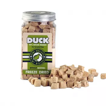 Mācību gardumi kaķiem un suņiem john dog KIWI WALKER FDT-372 Pīle 80 g – bezgraudu, olbaltumvielas 64,7%, bez lipekļa un sojas