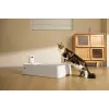 Pašattīroša kaķu smilšu kaste PETKIT T7-EU, balta