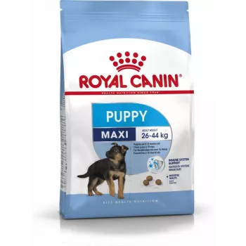 Royal Canin SHN Maxi Puppy - sausā barība kucēniem - 4kg