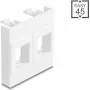 DELOCK Easy 45 sienas plāksnes moduļu rāmis, 2x keystone turētāji, 45×45 mm