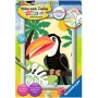 Ravensburger Krāso pēc numuriem - Tukāns džungļos