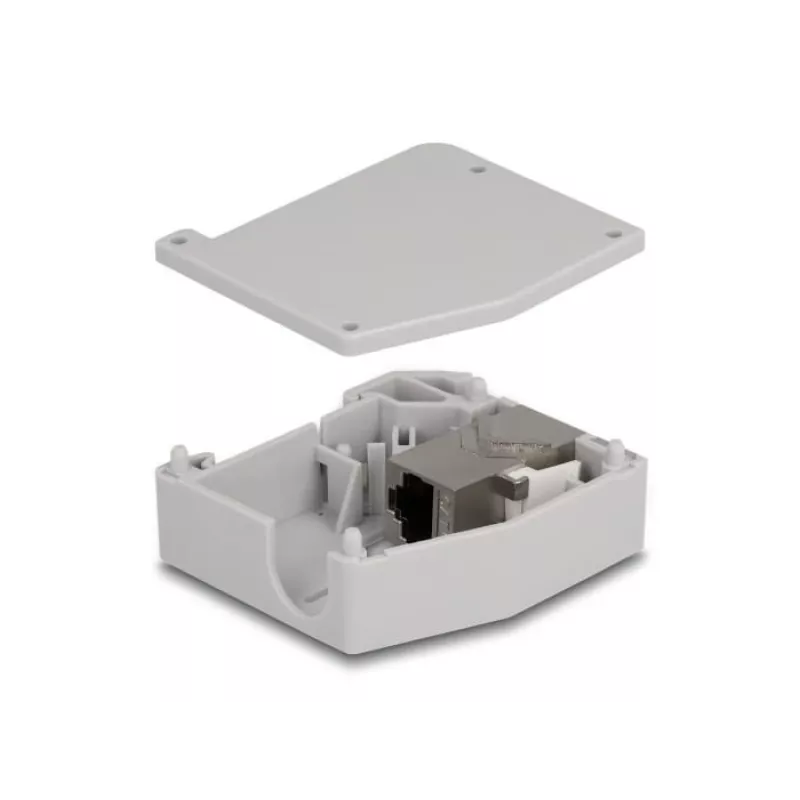 DeLOCK DIN sliedes adapteris RJ45 ligzda - RJ45 ligzda Cat.6A Pelēks