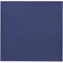 PAPSTAR salvetes Daily Collection tumši zilas 2-kārtu 16.0 x 16.0 cm 150 gab (89642)
