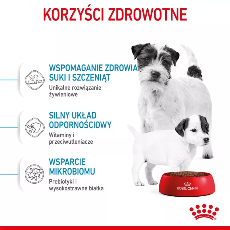 Sausā suņu barība Royal Canin Starter Mother & Babydog 1 kg — vistas gaļa, 30% olbaltumvielas, 22% tauki