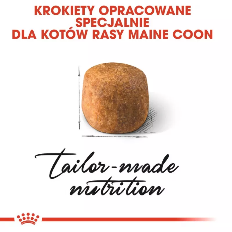 Royal Canin FBN Maine Coon Adult sausais kaķu ēdiens, 10 kg