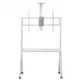 Grīdas televizora statīvs MACLEAN MC-114 W 55 inch–100 inch, balts, VESA līdz 900x600, maks. 120 kg, augstums 115–152 cm, plaukts