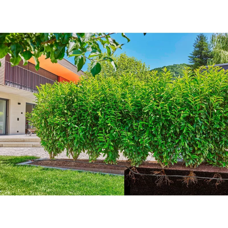 Gardena Micro-Drip-System pilienveida laistīšanas šļūtene, 1,6 l/h, 50 m (13504-20)
