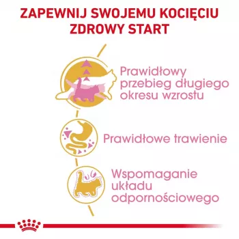 Sausā barība kaķēniem Royal Canin Maine Coon Kitten 2 kg – mājputnu gaļa, olbaltumvielas 36%, tauki 23%