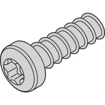 SCHROFF Skrūve TORX 2.5x7.3 (100 gab.) - Rack piederums (24560157)
