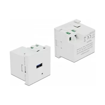 DELOCK 81311 USB-A barošanas kontaktligzda, balta, 100–240V, 0.5A, LED indikators
