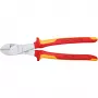 Knipex 74 06 250