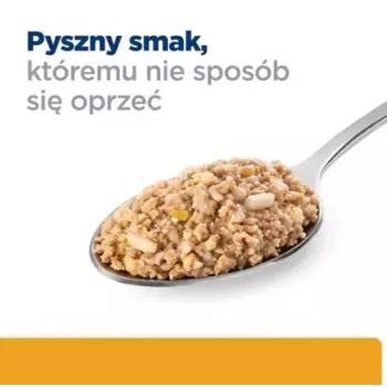 HILL'S PD Canine Urinary Care C/D - slapjā suņu barība - 370g