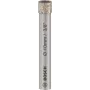 Urbja uzgalis Bosch 2608599051, dimanta gals, 10 mm diametrs, 66 mm garums
