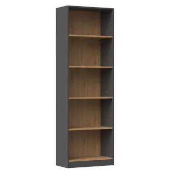 Topeshop R60 ANT/ART biroja grāmatu skapis