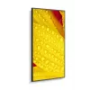 NEC MultiSync M651-2 65 collu LED kioska displejs 4K Ultra HD 500 cd/m²