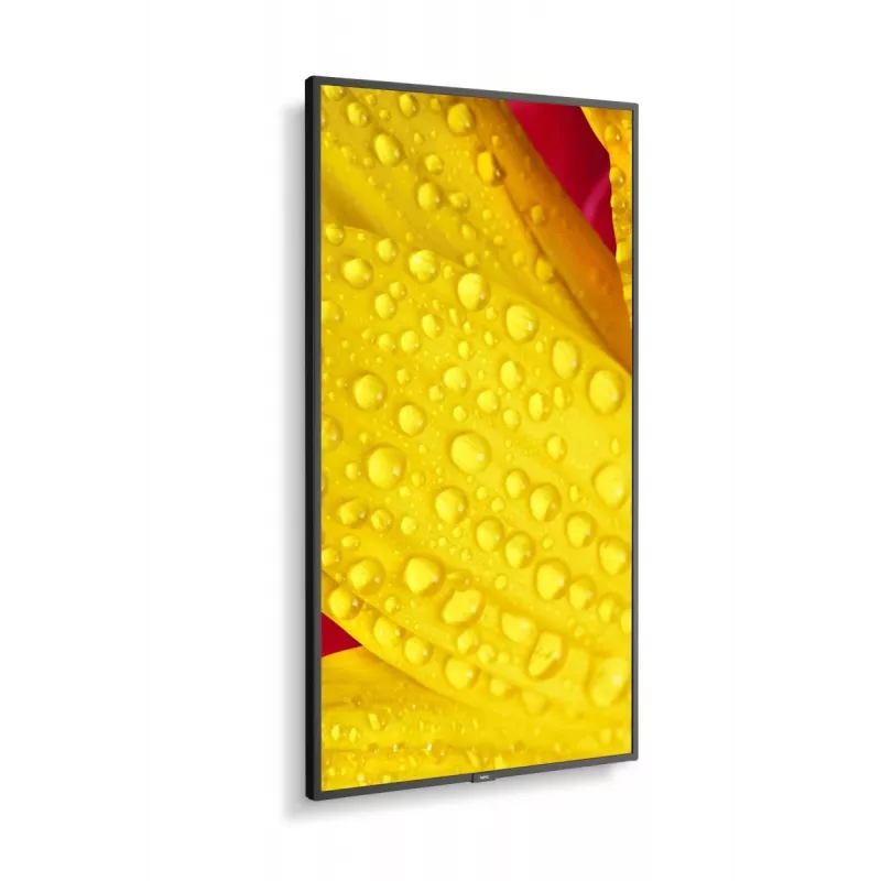 NEC MultiSync M651-2 65 collu LED kioska displejs 4K Ultra HD 500 cd/m²